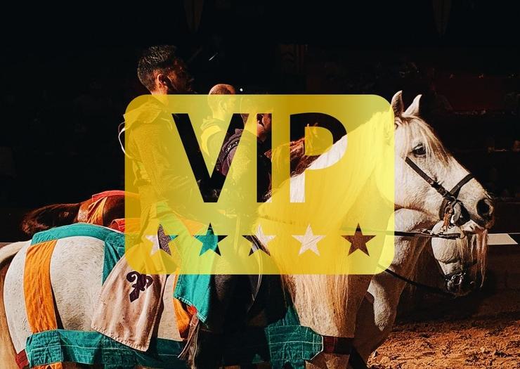 Dinner-Show 'Medieval Challenge' (VIP Pass) Magic Atrium Beach Apartments Villajoyosa Dinner-Show 'Medieval Challenge' (VIP Pass) Magic Atrium Beach Apartments Villajoyosa