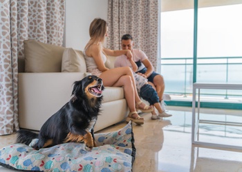 2 bedrooms apartment 4/6 people Magic Atrium Beach Apartments Villajoyosa 2 bedrooms apartment 4/6 people Magic Atrium Beach Apartments Villajoyosa
