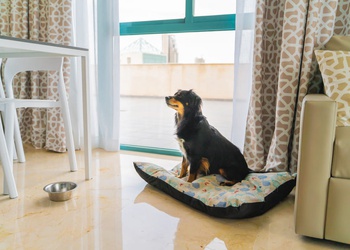 3 bedrooms apartment 5/7 people Magic Atrium Beach Apartments Villajoyosa 3 bedrooms apartment 5/7 people Magic Atrium Beach Apartments Villajoyosa