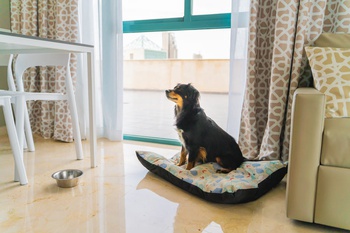 3 bedrooms apartment 5/7 people Magic Atrium Beach Apartments Villajoyosa 3 bedrooms apartment 5/7 people Magic Atrium Beach Apartments Villajoyosa