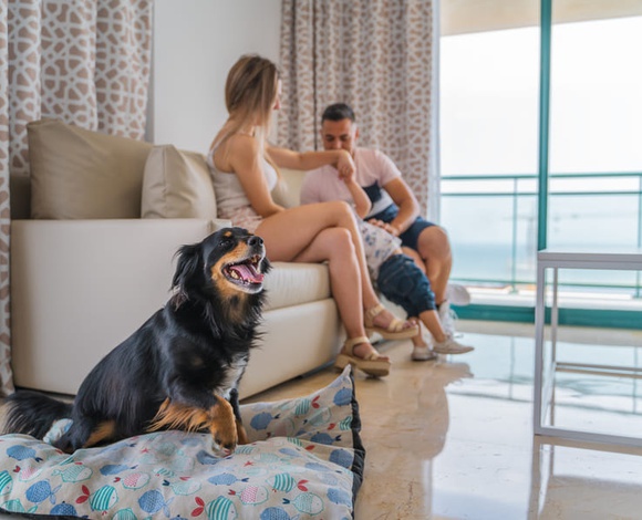 2 bedrooms apartment 4/6 people Magic Atrium Beach Apartments Villajoyosa 2 bedrooms apartment 4/6 people Magic Atrium Beach Apartments Villajoyosa