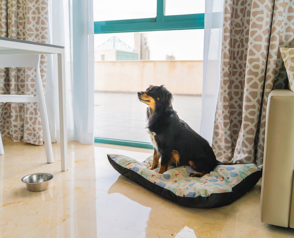 3 bedrooms apartment 5/7 people Magic Atrium Beach Apartments Villajoyosa 3 bedrooms apartment 5/7 people Magic Atrium Beach Apartments Villajoyosa