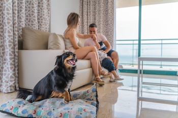 2 bedrooms apartment 4/6 people Magic Atrium Beach Apartments Villajoyosa 2 bedrooms apartment 4/6 people Magic Atrium Beach Apartments Villajoyosa